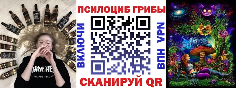 Псилоцибиновые грибы прущие грибы  Ставрополь 